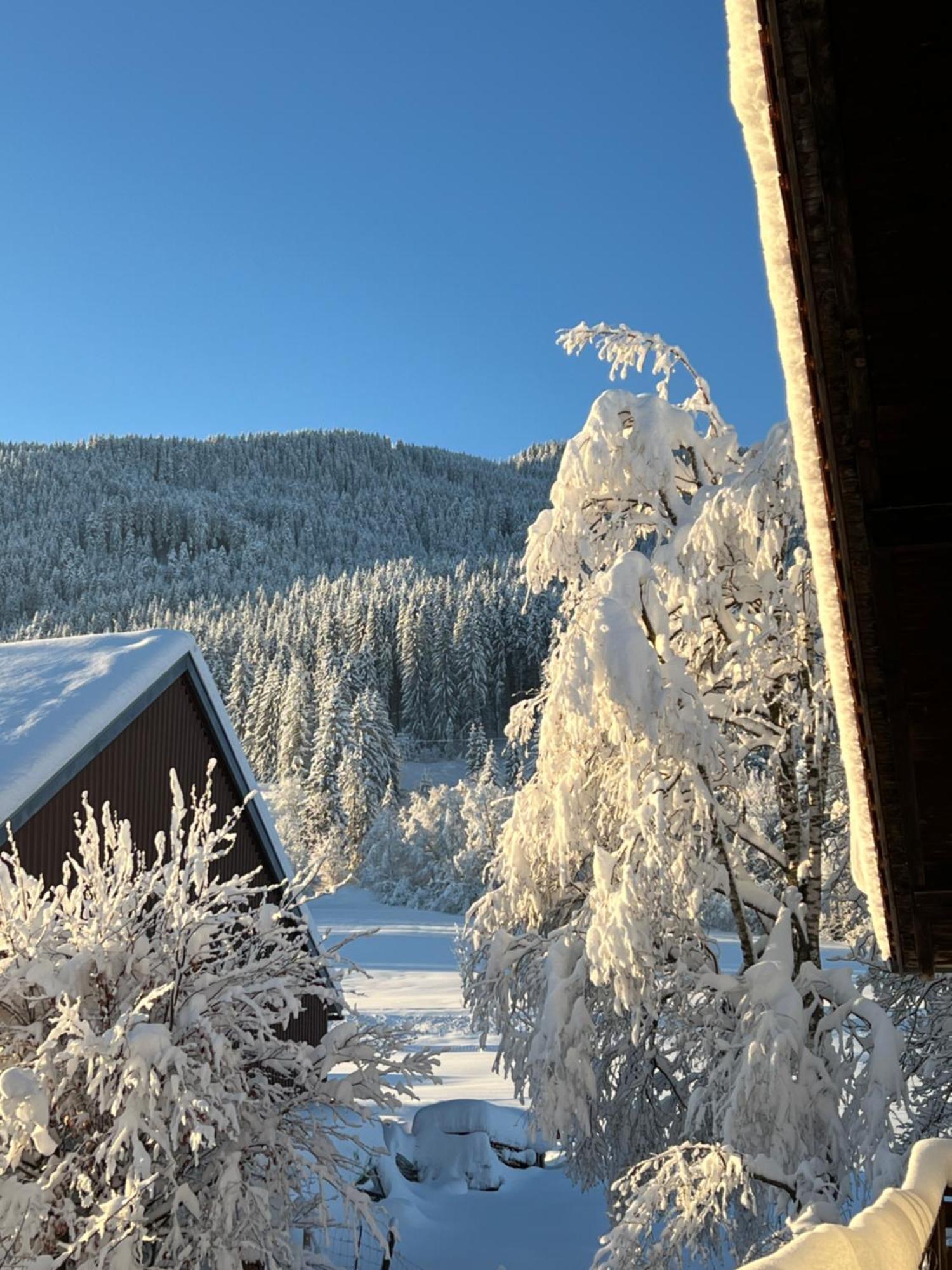 Beim Patzelt - Ferienhaus In Nesselwang Exterior foto